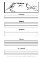 Steckbriefvorlage-Lerche.pdf